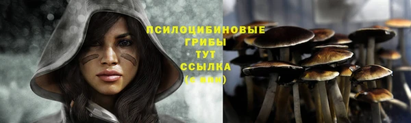 не бодяженный Краснослободск